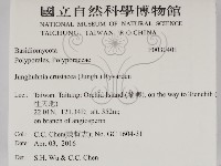 登錄號:F0030401藏品圖，第2張