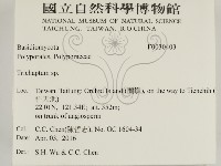 附毛菌屬藏品圖，第2張