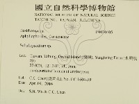 登錄號:F0030405藏品圖，第2張