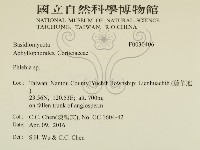 登錄號:F0030406藏品圖，第2張