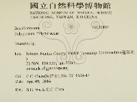 栓菌屬藏品圖，第2張