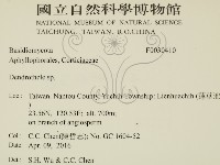 登錄號:F0030410藏品圖，第2張