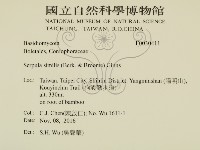 登錄號:F0030411藏品圖，第2張