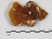 登錄號:F0030411藏品圖，第1張