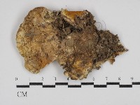 登錄號:F0030411藏品圖，第3張