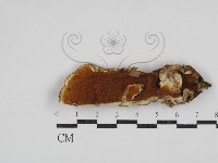 登錄號:F0030412藏品圖，第1張