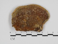 登錄號:F0030413藏品圖，第1張