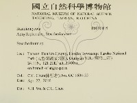 齒耳菌屬藏品圖，第2張