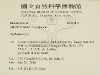 絲齒菌屬藏品圖，第2張