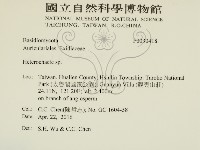 刺皮菌屬藏品圖，第2張