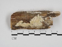 登錄號:F0030421藏品圖，第1張