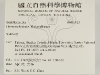 登錄號:F0030422藏品圖，第2張