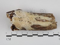 登錄號:F0030422藏品圖，第1張