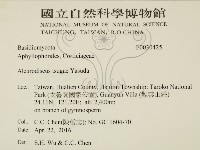 登錄號:F0030425藏品圖，第2張