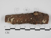 登錄號:F0030425藏品圖，第1張