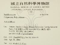 登錄號:F0030428藏品圖，第2張