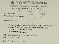 登錄號:F0030429藏品圖，第2張