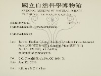 刺革菌屬藏品圖，第2張