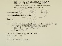 登錄號:F0030433藏品圖，第2張