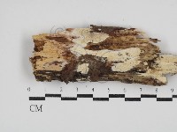 登錄號:F0030434藏品圖，第1張