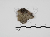 登錄號:F0030436藏品圖，第1張