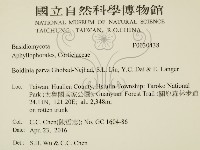 Accession Number:F0030438 Collection Image, Figure 2, Total 2 Figures