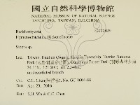 登錄號:F0030439藏品圖，第2張