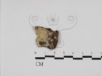 登錄號:F0030440藏品圖，第1張