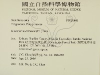 登錄號:F0030441藏品圖，第2張