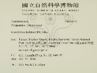 登錄號:F0030443藏品圖，第2張