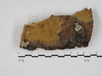 登錄號:F0030446藏品圖，第1張
