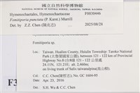 登錄號:F0030446藏品圖，第3張