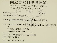 登錄號:F0030450藏品圖，第2張