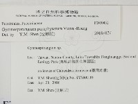 登錄號:F0030452藏品圖，第2張