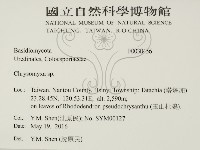 登錄號:F0030456藏品圖，第2張