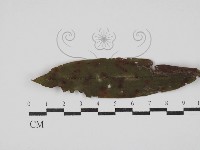 登錄號:F0030456藏品圖，第3張