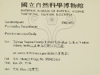 登錄號:F0030460藏品圖，第2張