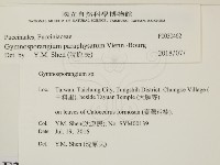 登錄號:F0030462藏品圖，第2張