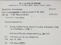 登錄號:F0030464藏品圖，第2張