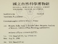 登錄號:F0030475藏品圖，第2張