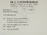 登錄號:F0030476藏品圖，第2張