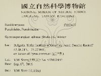 登錄號:F0030477藏品圖，第2張