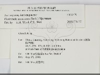 登錄號:F0030479藏品圖，第2張