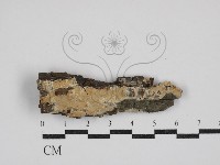 登錄號:F0030479藏品圖，第1張