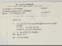 登錄號:F0030480藏品圖，第2張