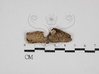 登錄號:F0030480藏品圖，第1張