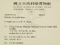 登錄號:F0030481藏品圖，第2張