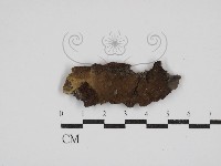 登錄號:F0030481藏品圖，第1張