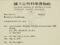 登錄號:F0030482藏品圖，第2張