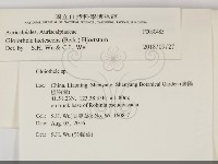 登錄號:F0030485藏品圖，第2張